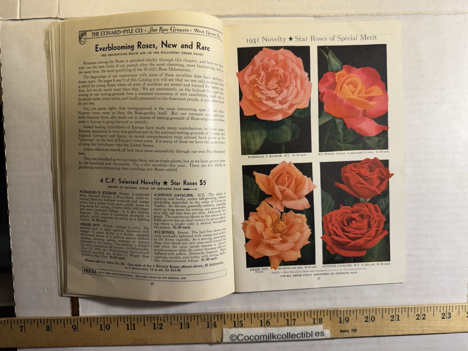 Vintage 1931 The Conard-Pyle CO Star Rose Growers Catalog West Grove PA