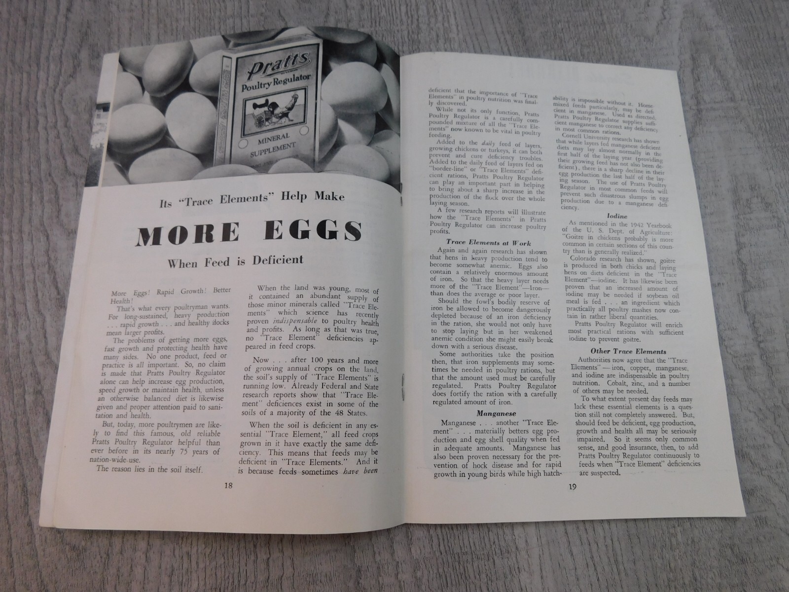 The Poultry Health Guide Vintage Pamphlet Raising Chickens Houses Hoppers Range