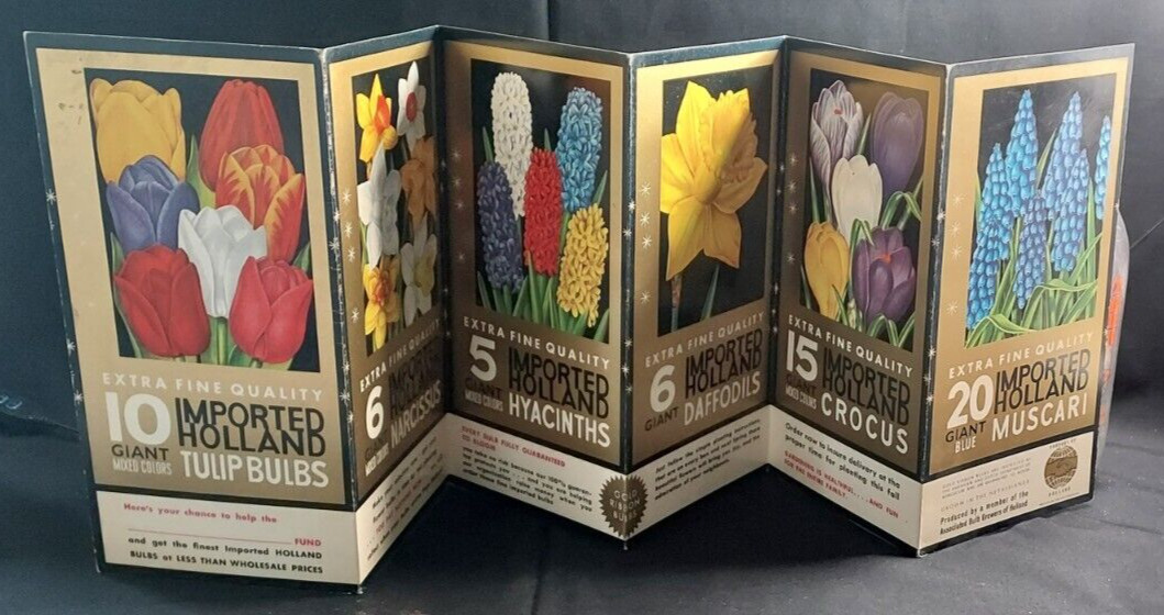 Old Advertising Promotional Folder Associated Bulb Growers Of Holland Tulips