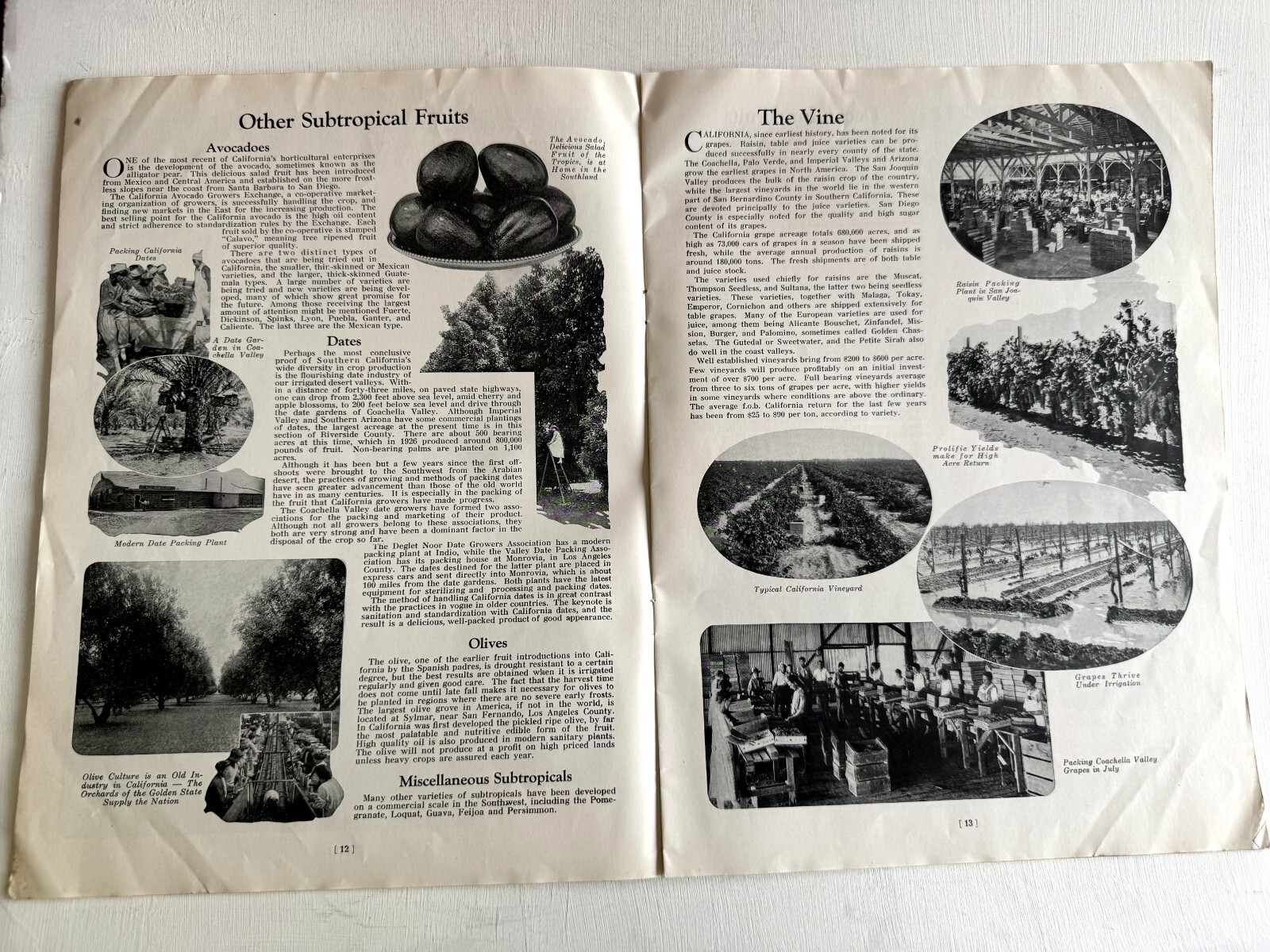 1927 Booklet- Los Angeles the Center of an Agricultural Empire