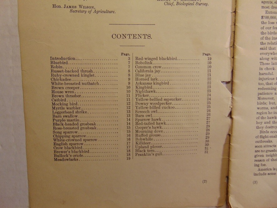 Vintage 1913 U.S Department of Agriculture Fifty Common Birds of Farm & Orchard
