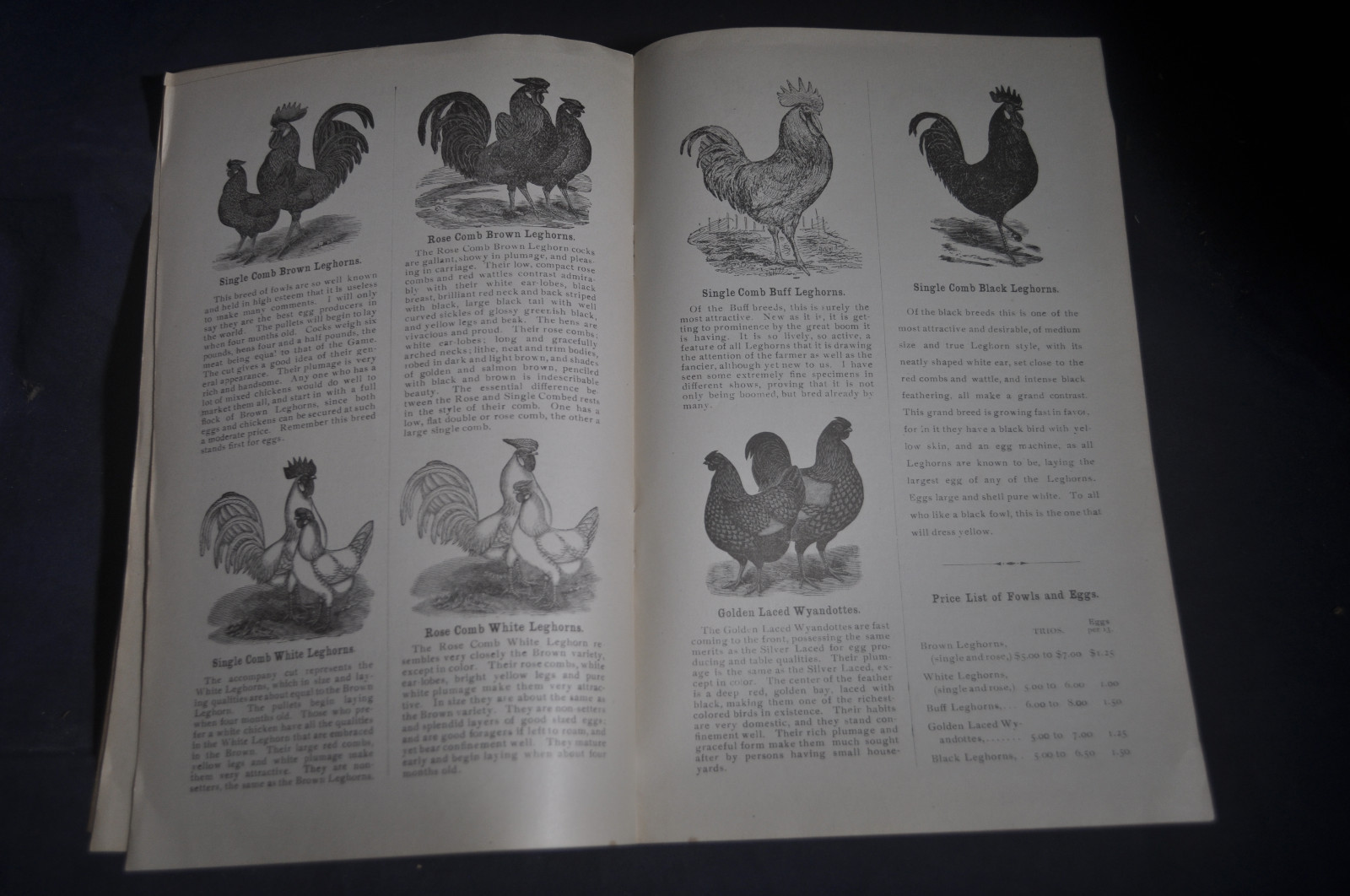 Ca 1896 Gates Homestead Farm Catalog Hogs, Poultry, Ferrets, Chittenango NY