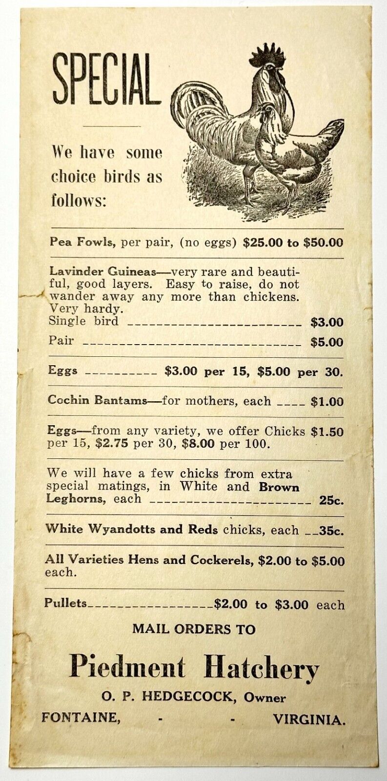 Piedment Hatchery O P Hedgecock Illustrated Bird Price List FONTAINE VA BS252