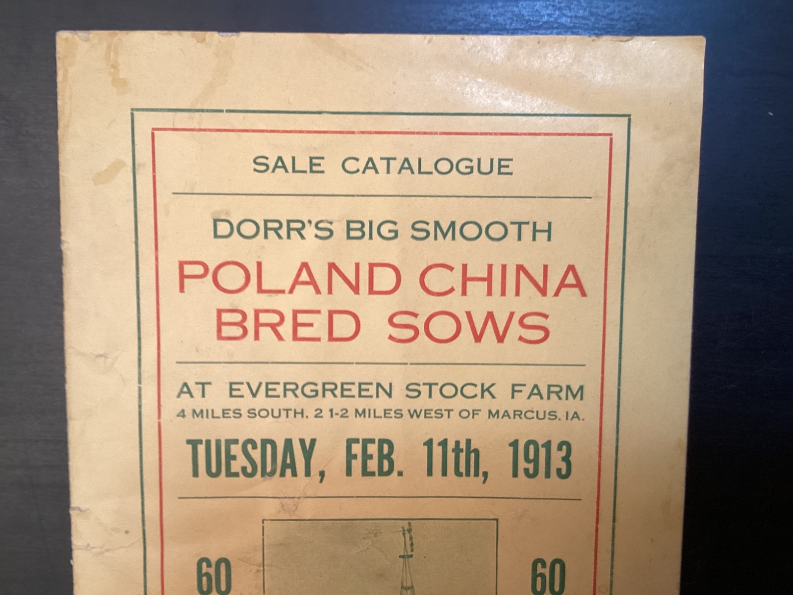 1913 Poland China Sows Sale Catalogue, Henry Dorr, Marcus IA
