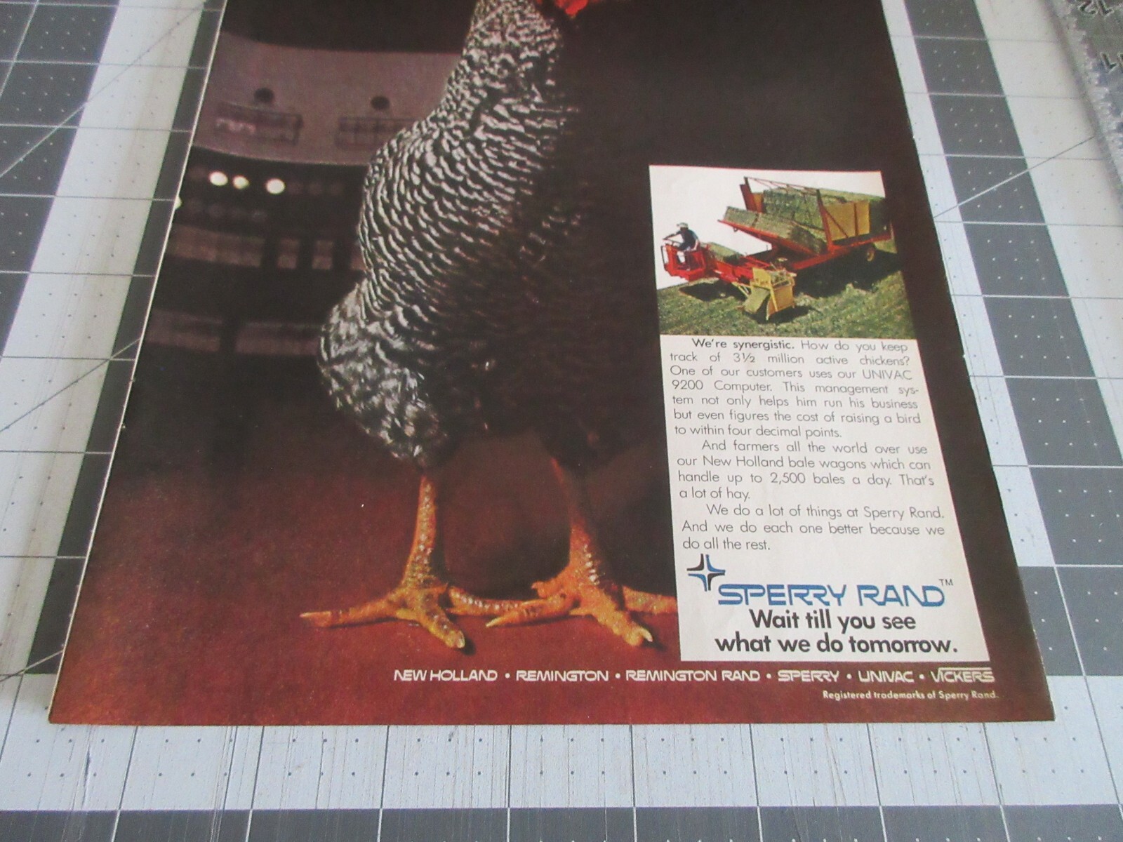 1970 Sperry Rand « One Day We Count Chickens. The Next Day We Make Hay » Print Ad