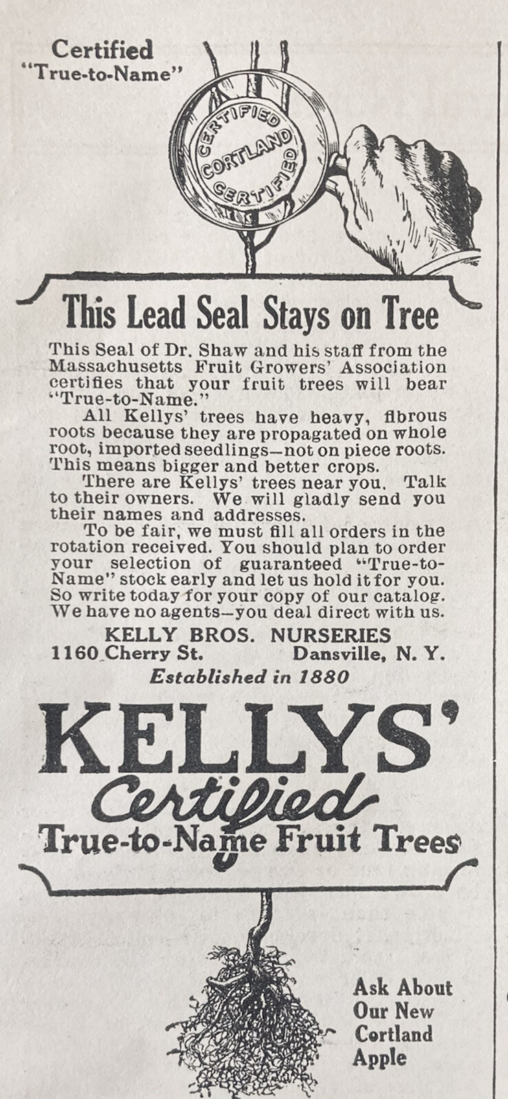 1926 AD.(XG21)~KELLY BROS. NURSERIES, DANSVILLE, NY. CERTIFIED FRUIT TREES