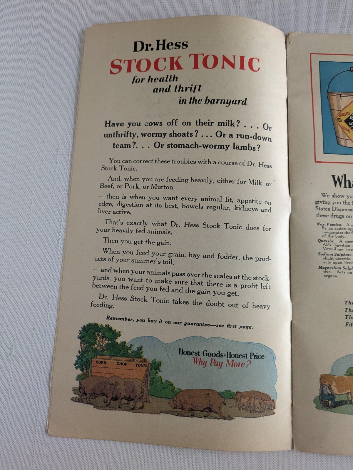 Dr. Hess & Clark Merchandiser Ad Booklet Ashland Ohio