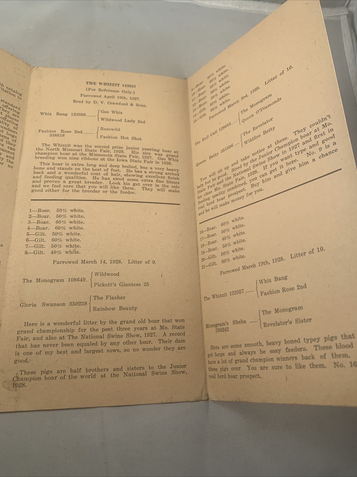 1928 Hog Sale Brochure Wilson’s Prolific Poland China Pig Farm Darlington MO