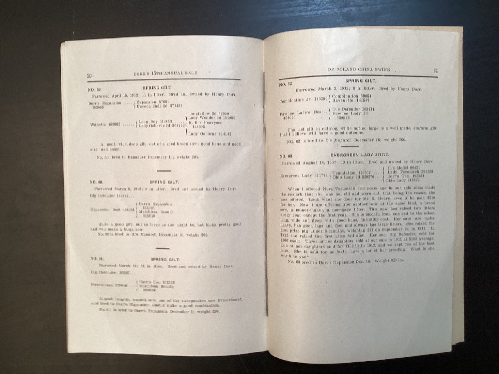 1913 Poland China Sows Sale Catalogue, Henry Dorr, Marcus IA