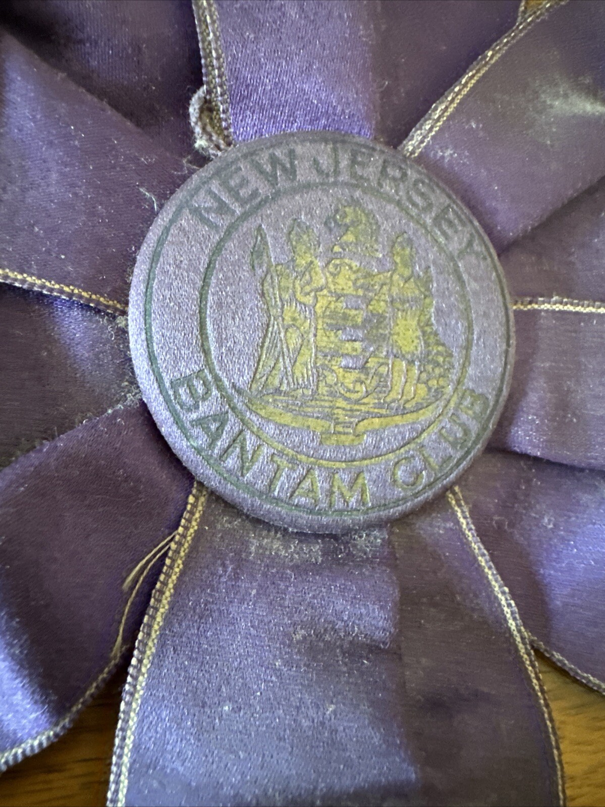 Vintage 1934 NJ Bantam Club Livestock Show Ribbons New Jersey