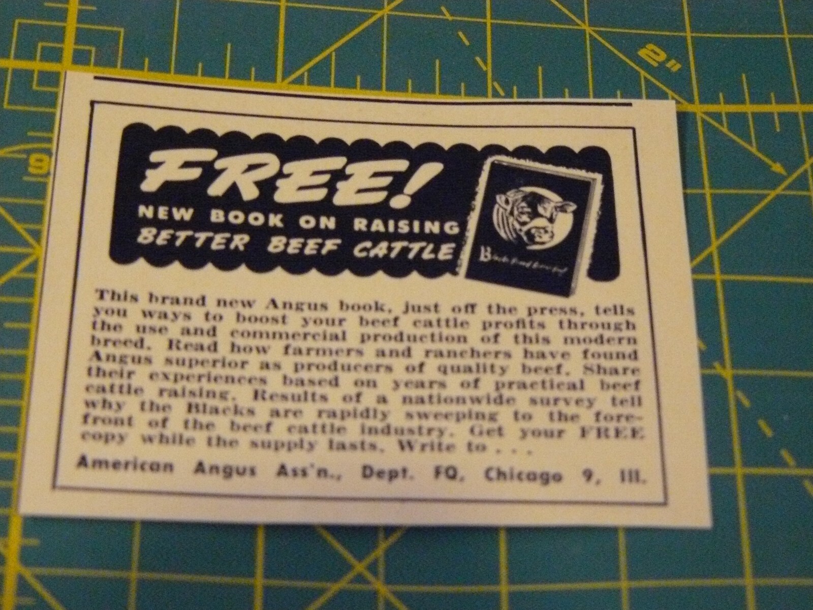 The FARM QUARTERLY-AD-SPRING 1951- ON RAISING BETTER BEEF CATTLE / ILL