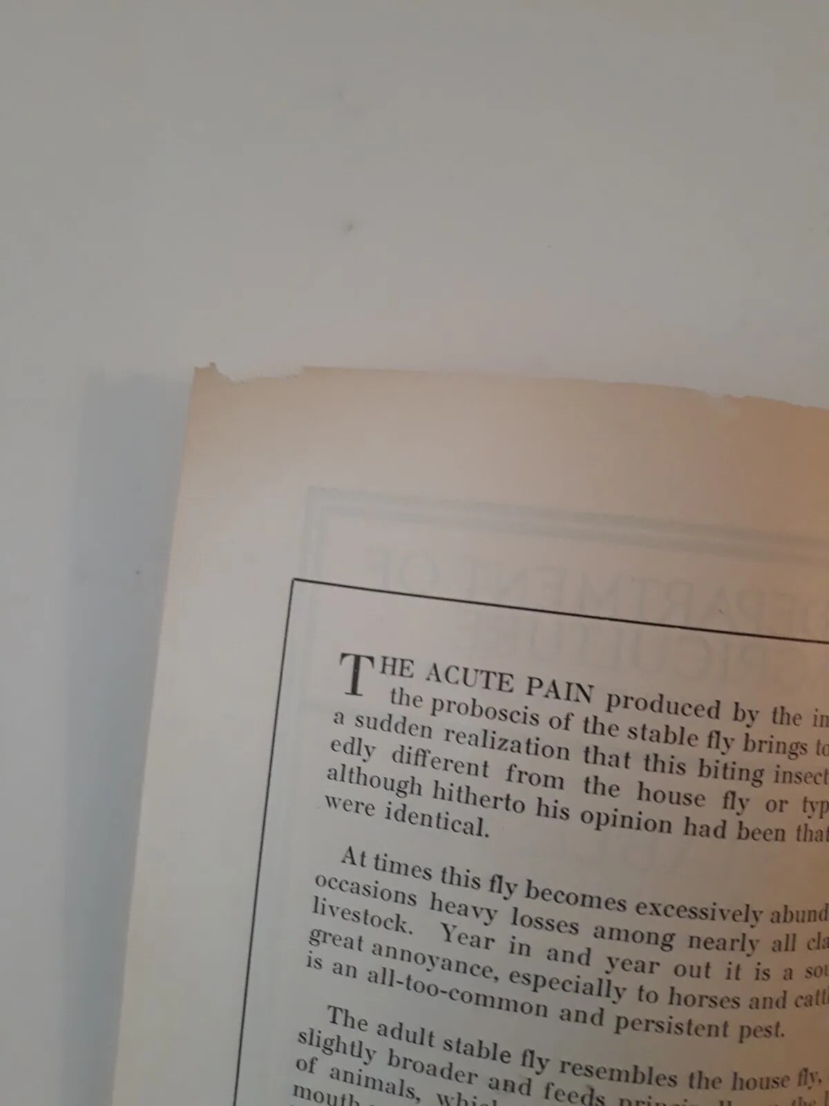 Vtg Farmers Bulletin US Dept of Agriculture No 1097 The Stable Fly Pest 1931 jj