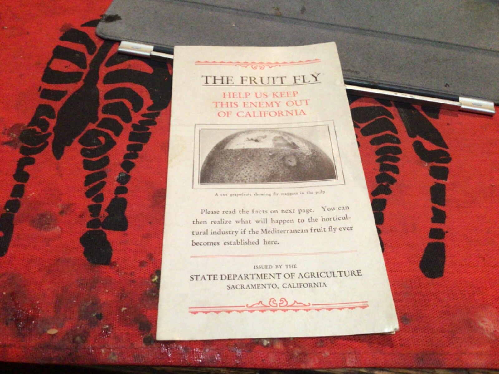 1929 Keep the Fruit Fly Out of California Brochure