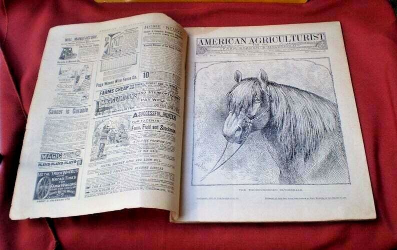 Antique American Agriculturist License Plate and Rare Magazine-1800&rsquo;s
