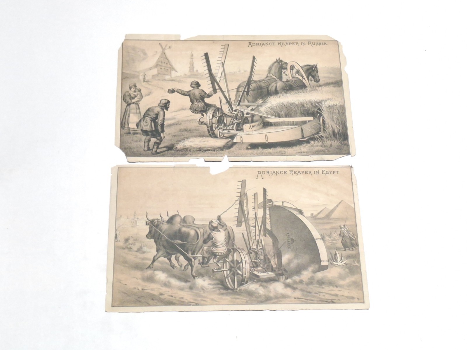 Adriance Platt & Co Harvesting Machinery Farm Book Catalogs Poughkeepsie NY 1900