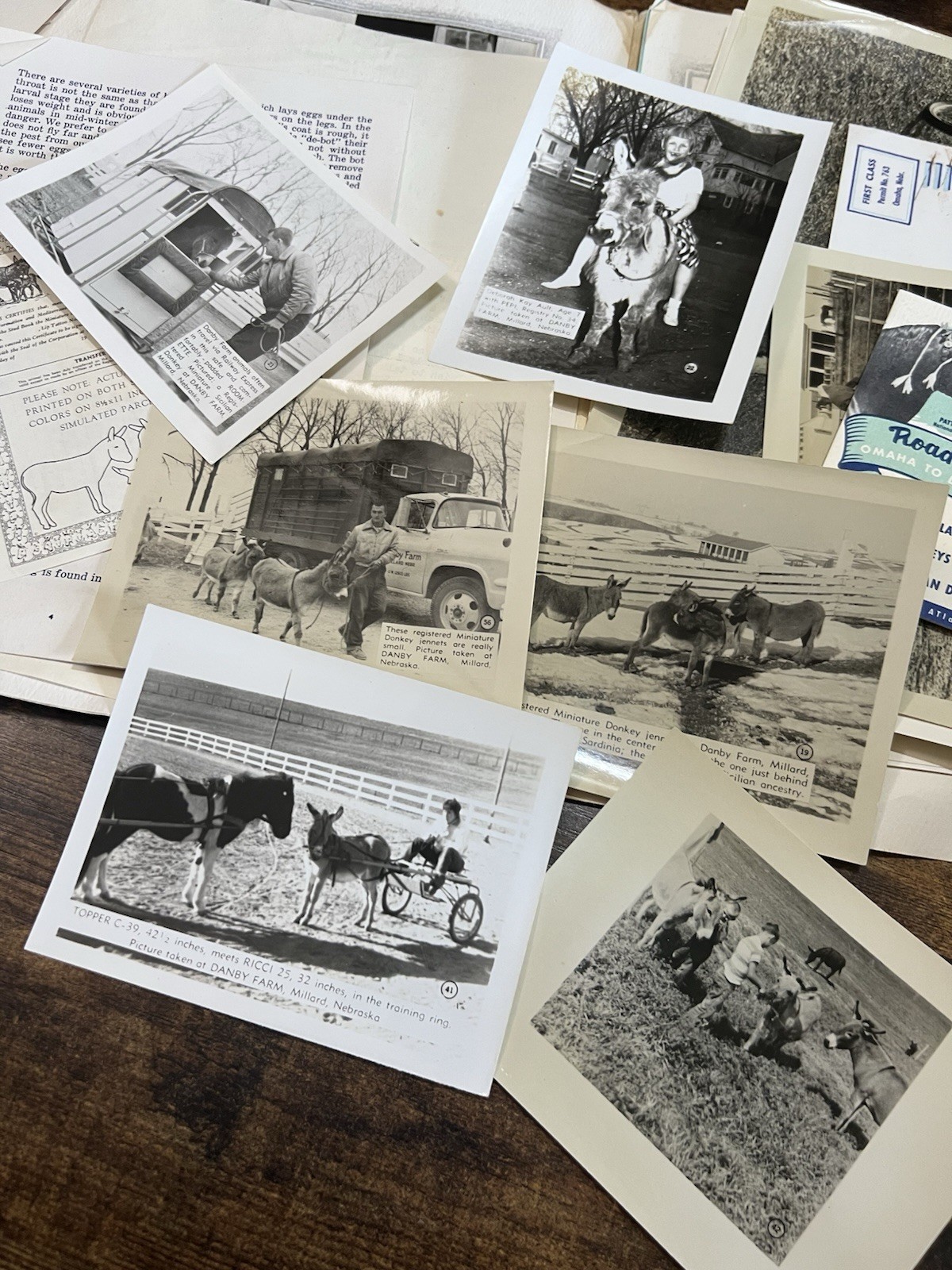 1961 Danby Farm Miniature Donkey Brochure Photo Letter Ephemera Lot
