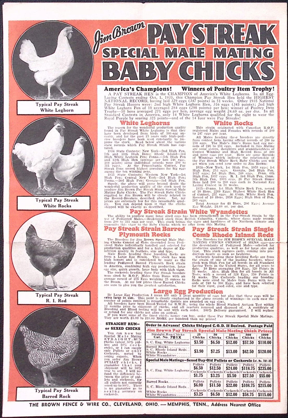 c1930s Brown Fence & Wire Co Jim Brown Pay Streak Baby Chicks Print Ad