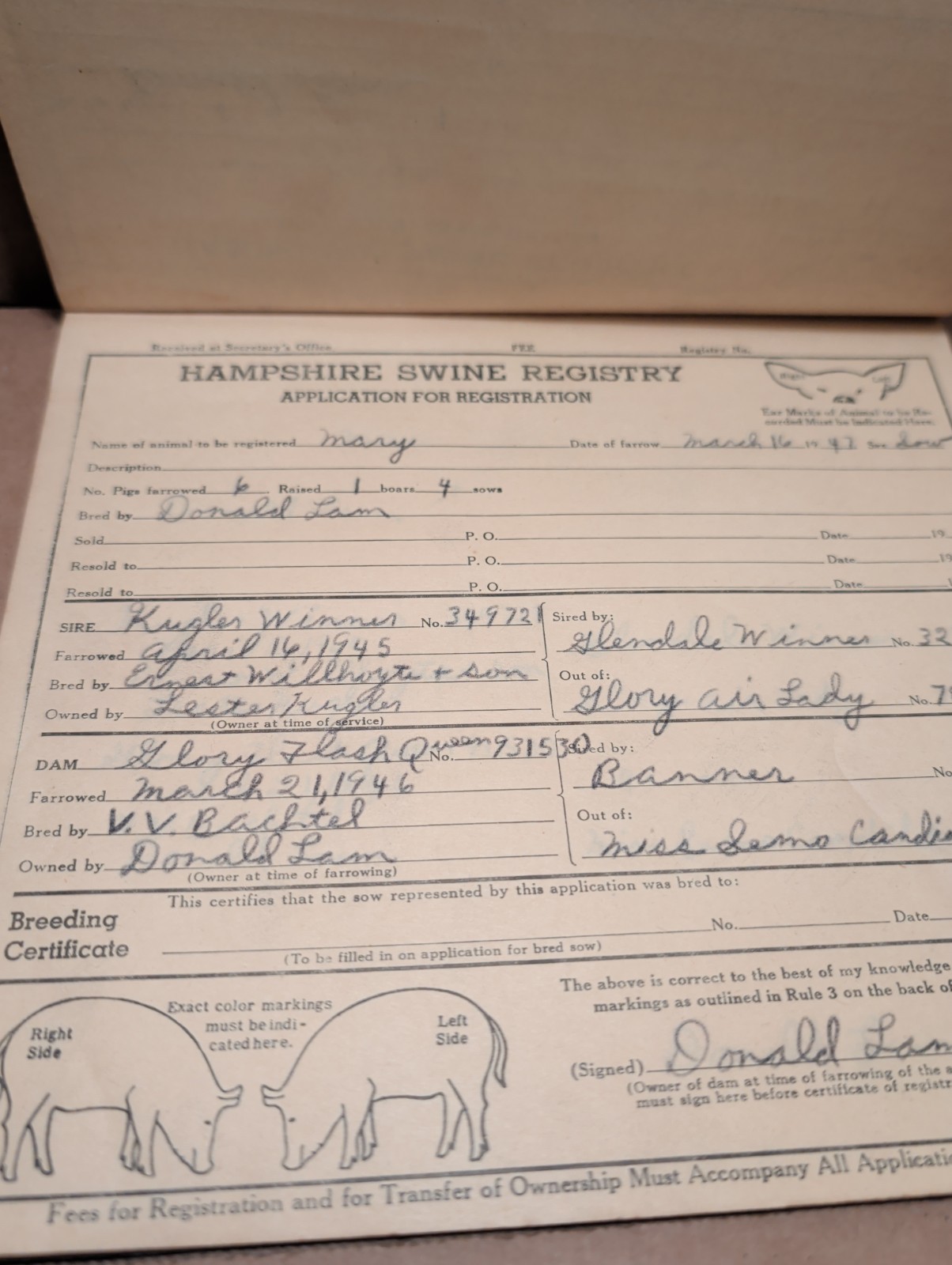 Vintage 1947 1948 Hampshire Swine Registry With Filled In Registars