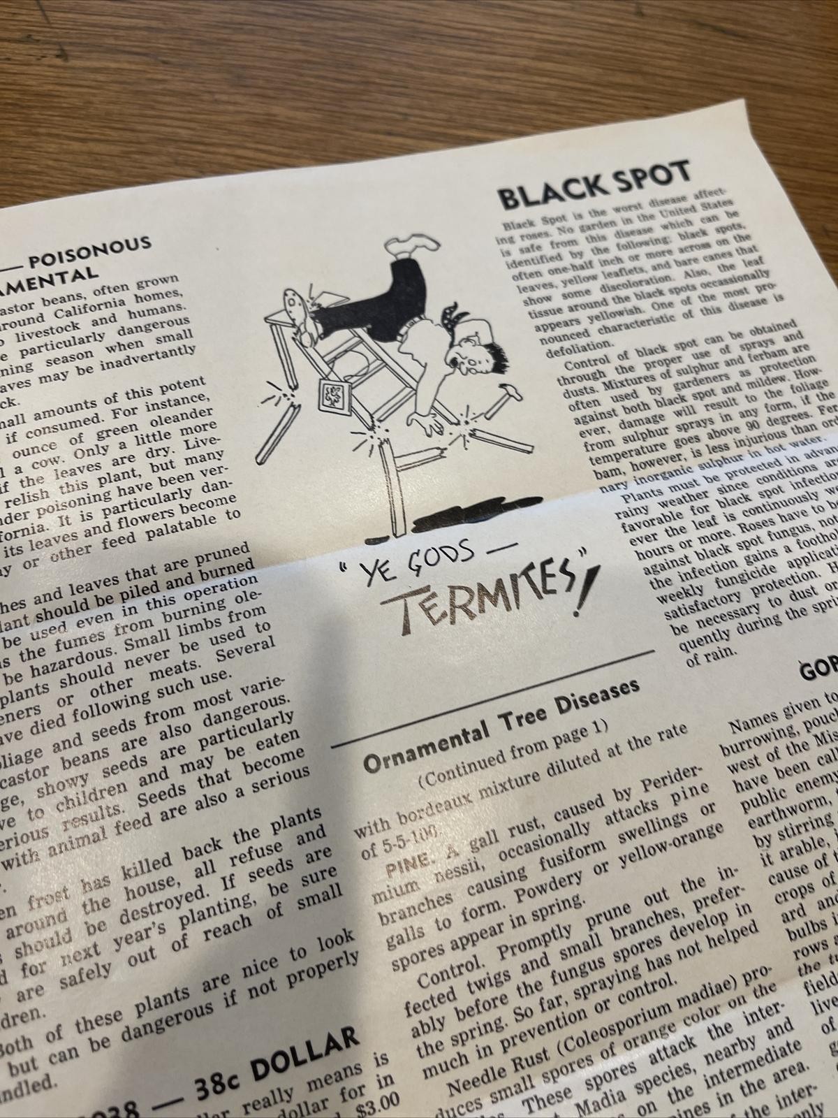 Brochure Vintage Acteen Pest Control Service News Newsletter Advertising