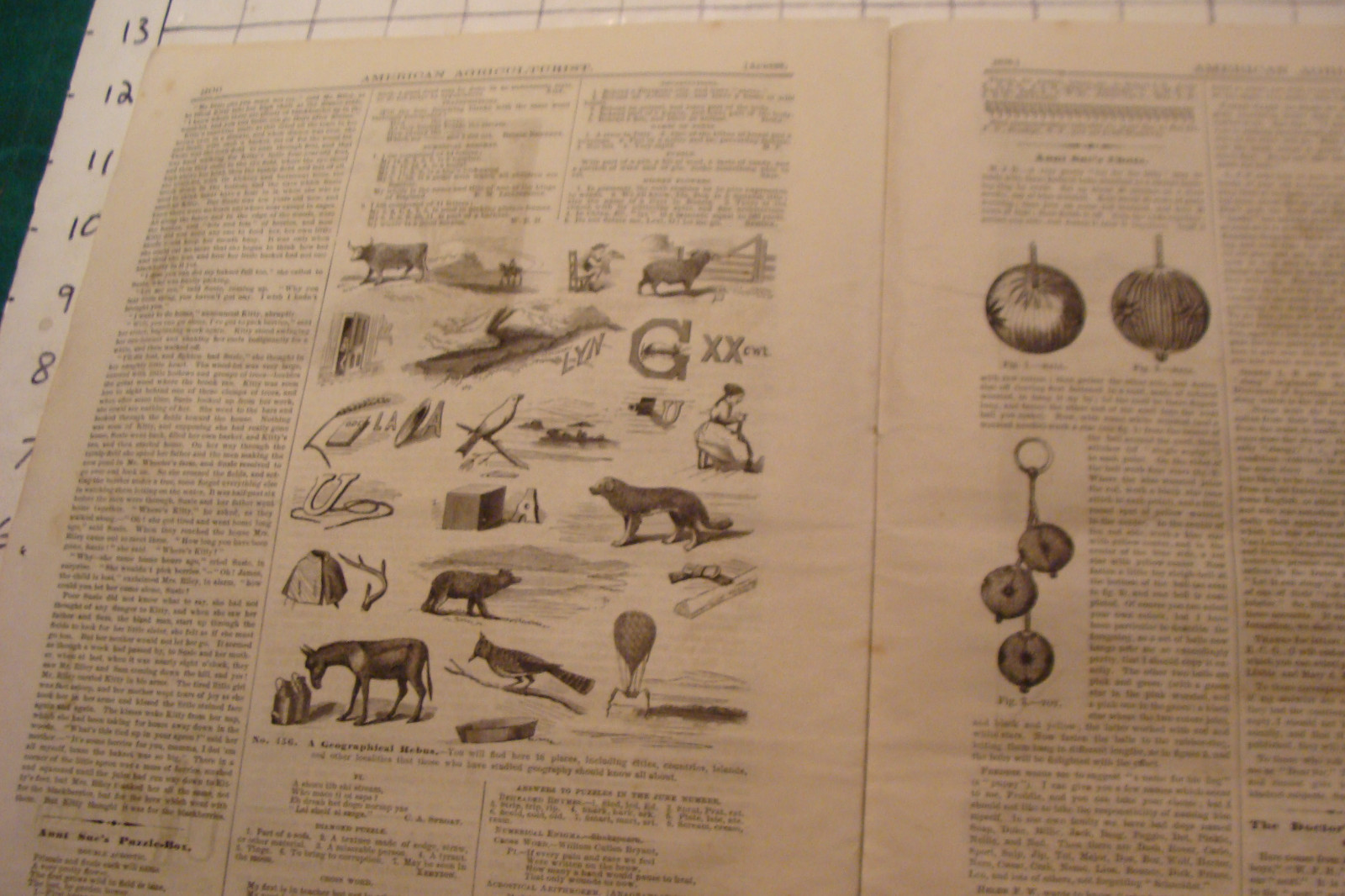 Vintage American Agriculturist 1876 august: TIGER, big puzzle, CRANDALL ADS
