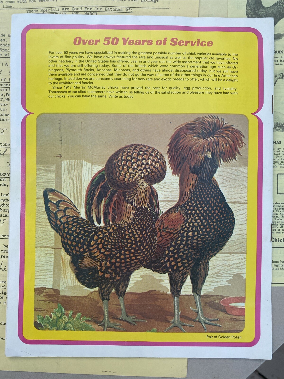 Vintage Murray McMurray Webster City Iowa catalog with price List & Mailer 1974