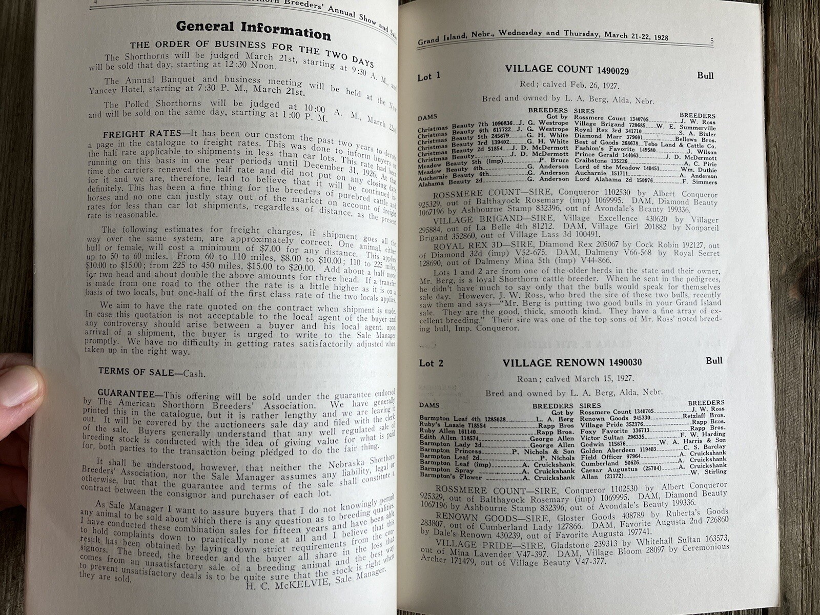 RARE Vintage 1928 Nebraska State Shorthorn Breeders’ Annual Show & Sale Cows