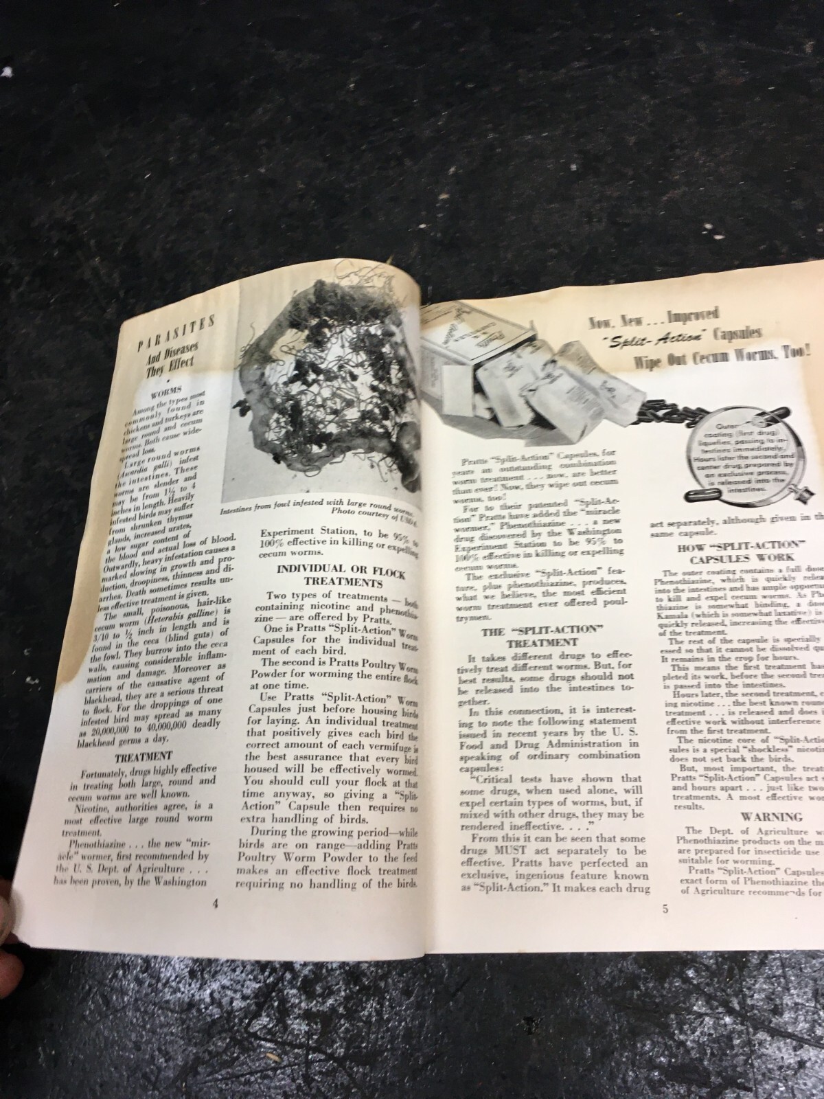 Vintage The Poultry Health Guide pamphlet 1940s Farm Guide Book