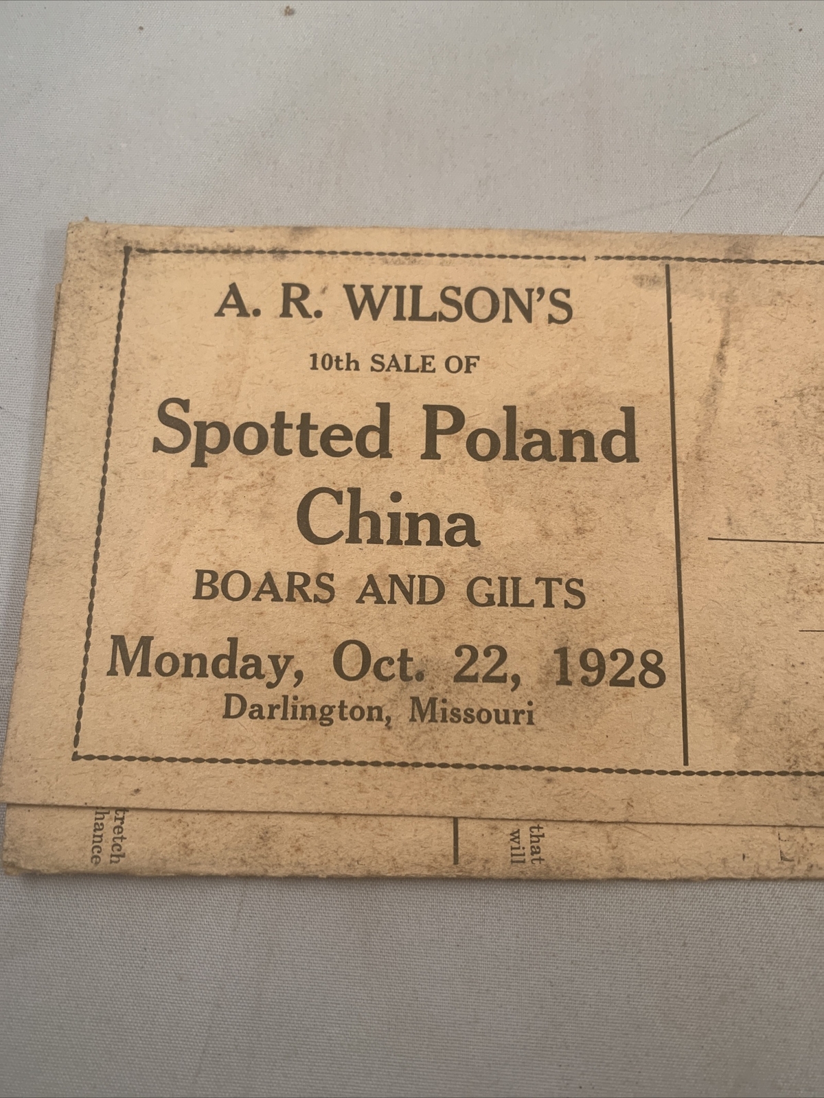 1928 Hog Sale Brochure Wilson’s Prolific Poland China Pig Farm Darlington MO