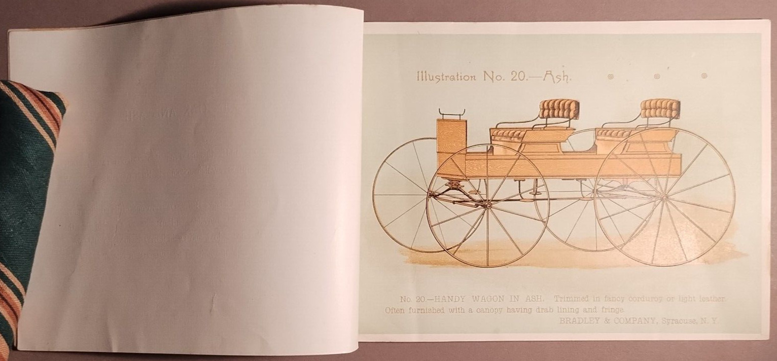 1890s Bradley & Co Syracuse Wagon Carriage Full Color Catalog Original B5-34