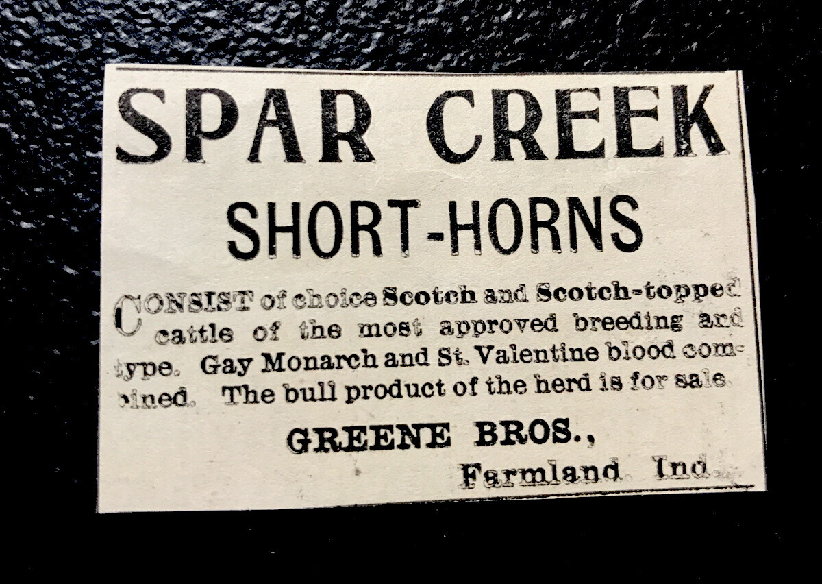 1900 Spar Creek Farm Cattle Advertising – Farmland – Indiana – Cow – Muncie