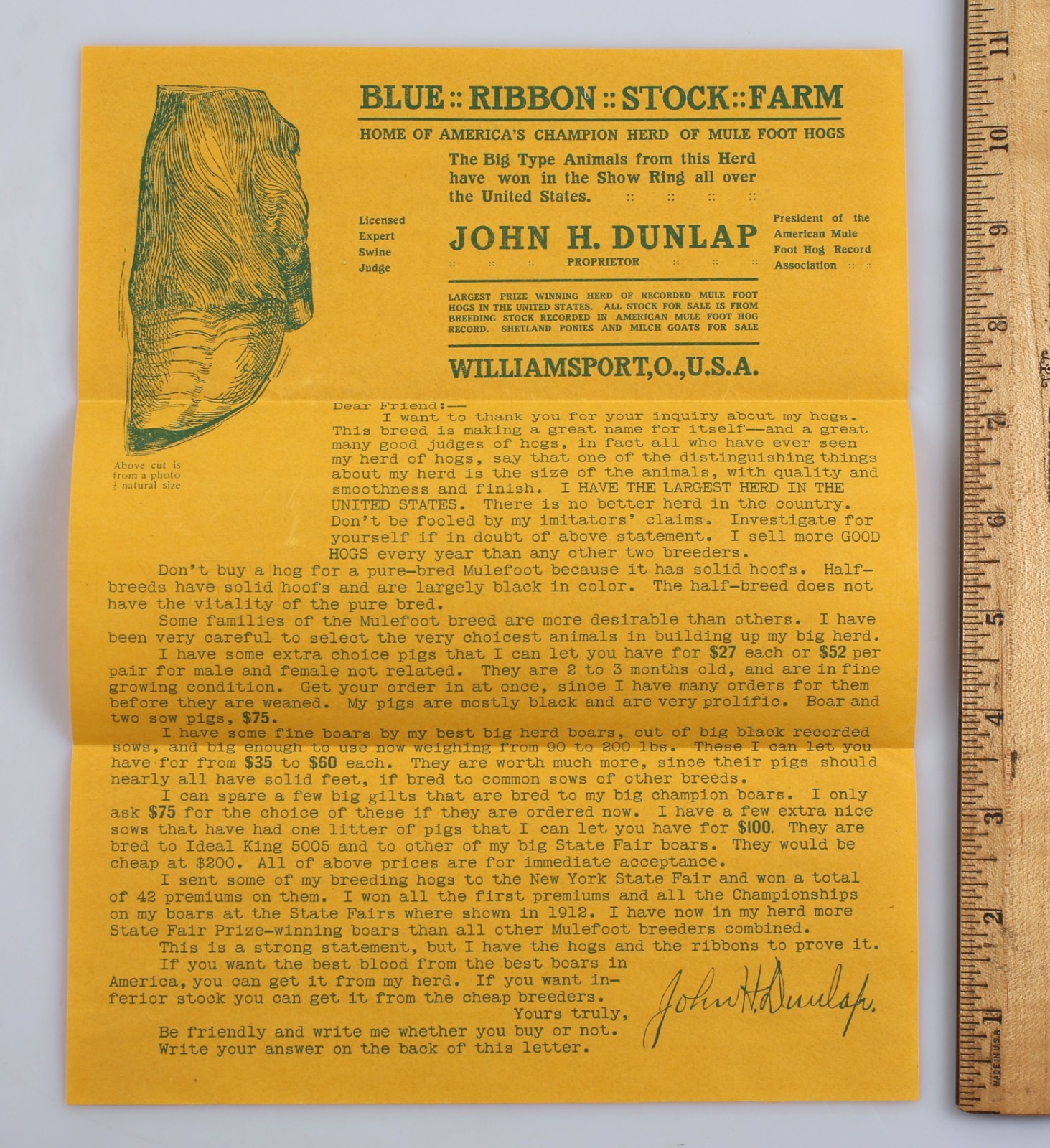1933 John H. Dunlap Blue Ribbon Stock Farms Mule Foot Hogs Catalog + Ephemera