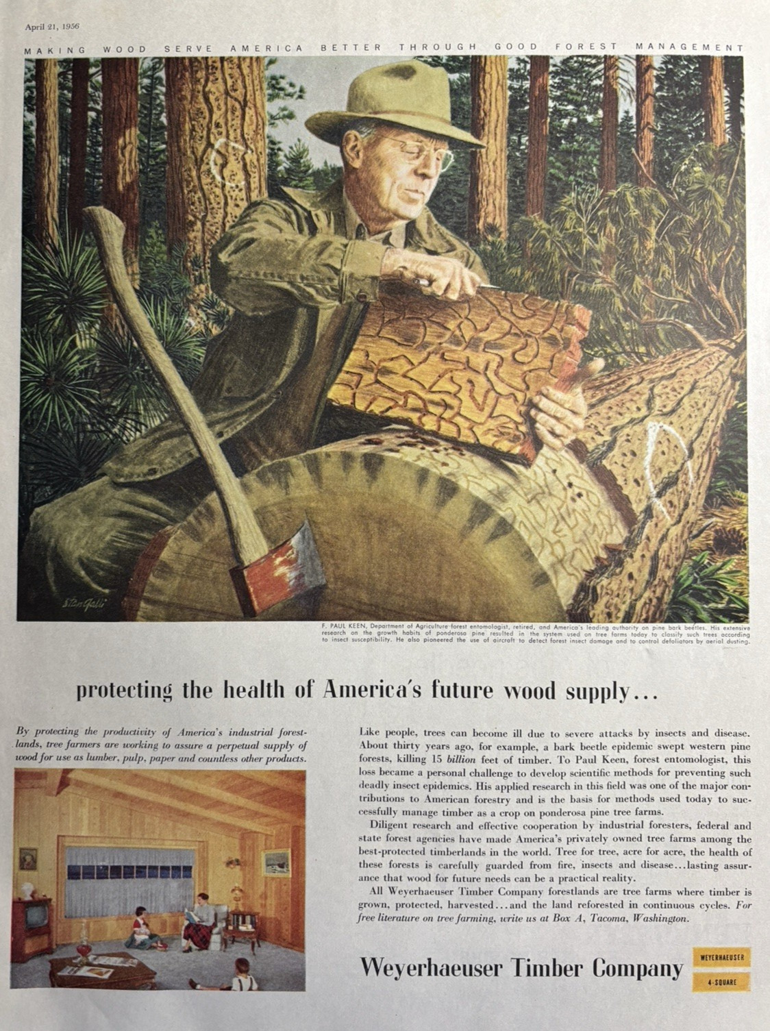 Weyerhaeuser Timber Company F Paul Keen Forest Entomologist VTG Print Ad 1956
