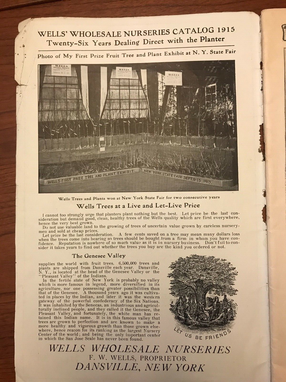 Wells Wholesale Nurseries 1915 Catalog Dansville NY w/Order Form & Envelope 10×7