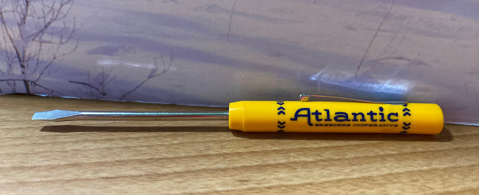 Vintage ATLANTIC BREEDERS COOPERATIVE Pocket SCREWDRIVER READY TOOL USA Adv