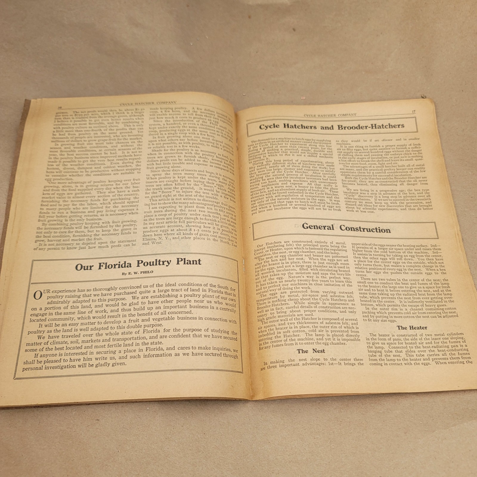 1912 Poultry Profits Philo System Cycle Hatcher Company Chicken