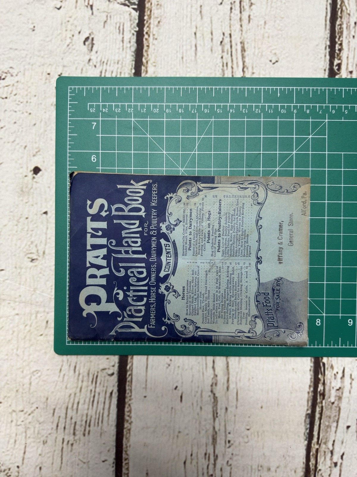 VTG Pratts Hand Book For Farmers Horse Owners Dairymen & Poultry Keepers Book