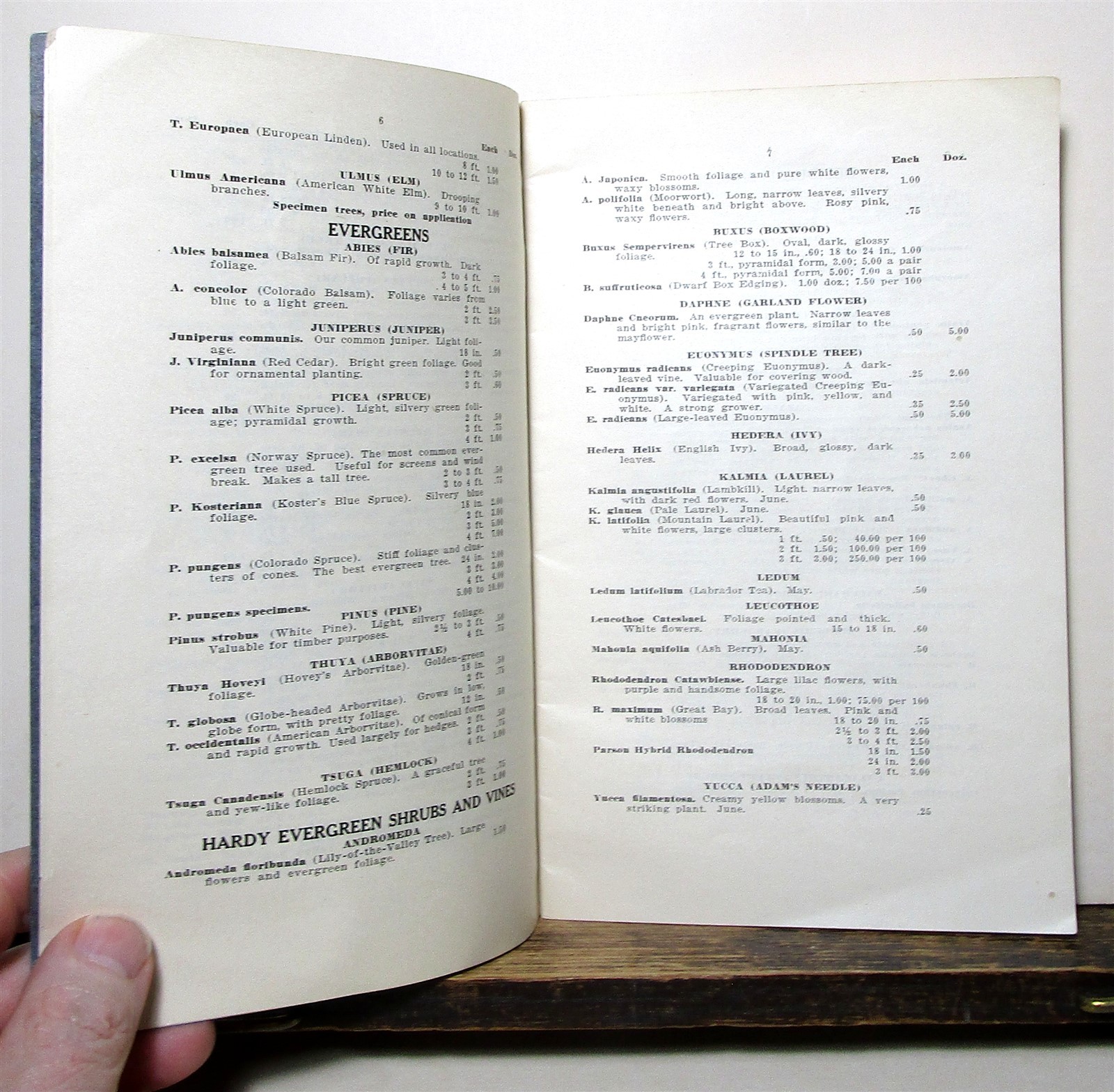Henry Minot Pratt Concord Nurseries catalog, Massachusetts