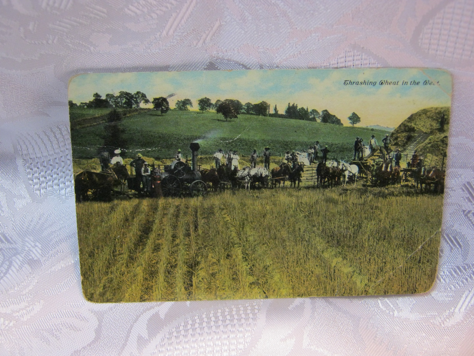 Farming thrashing wheat out west agriculture antique Postcard 1911 steam engine