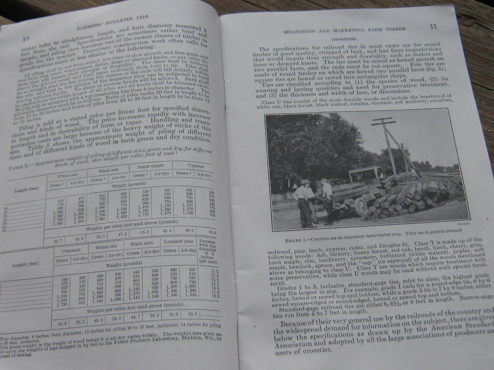 1940 US Department Agriculture Farmer&rsquo;s Bulletin Measuring Marketing Farm Timber