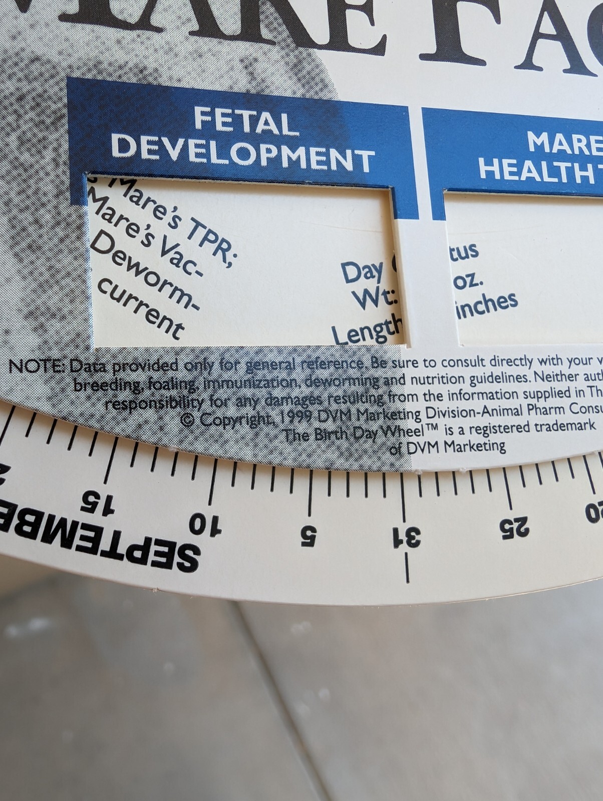 Vintage 1999 Horse Fact Spinner Double Sided The Birth Day Wheel DVM marketing