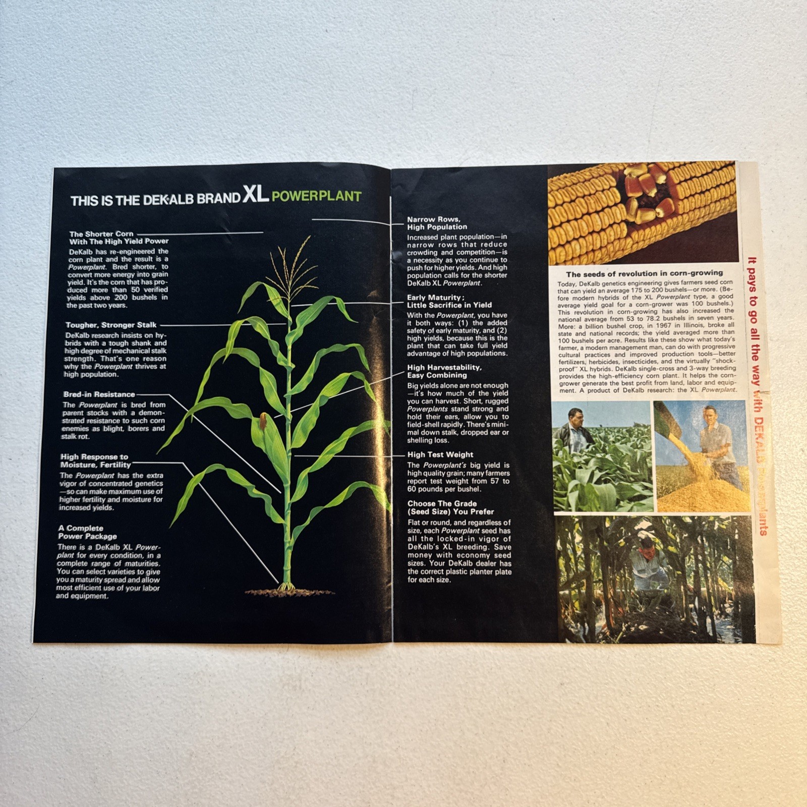 Dekalb Agricultural Association, Inc. XL Power plant Farming Brochure