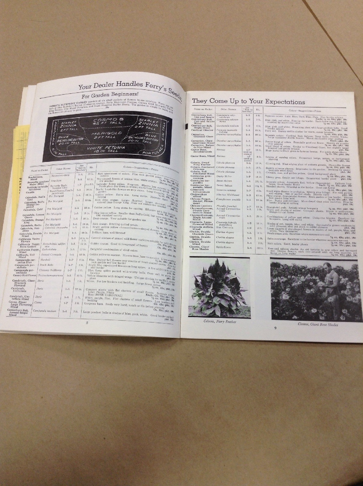 Ferrys home garden guide INV-P1122
