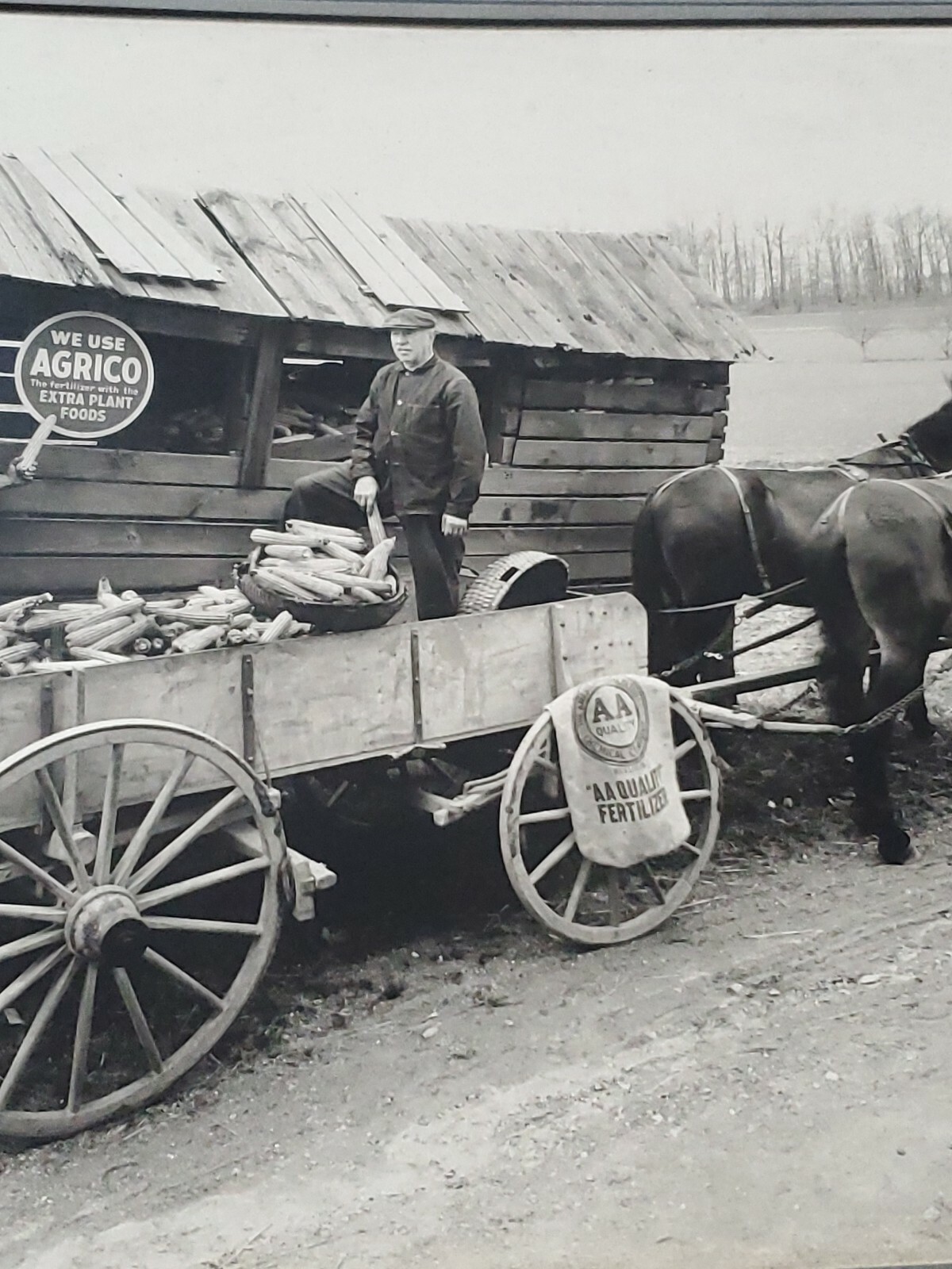 Vintage 14×11.5 1890s 2 Farmers Horse Wagon Wagon Photo Arico Feeds