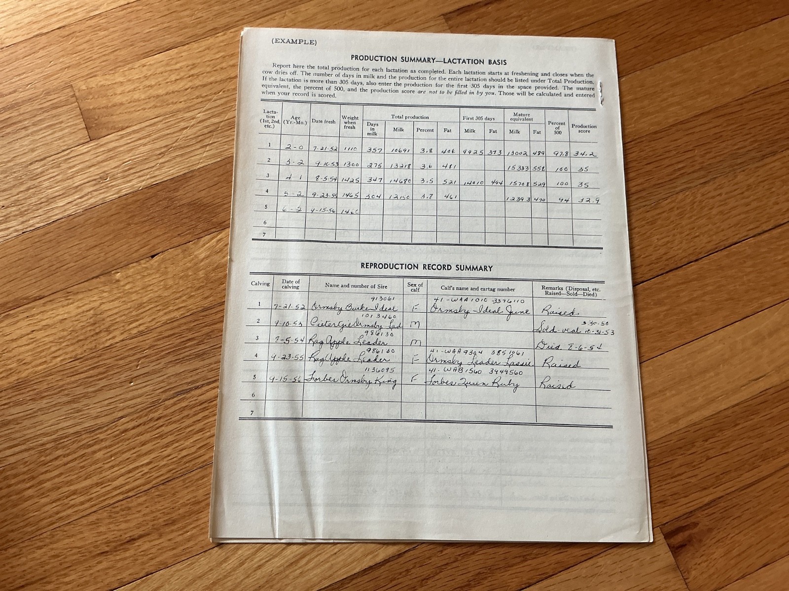 1950 4H Dairy Cow Project Record Book – Minnesota