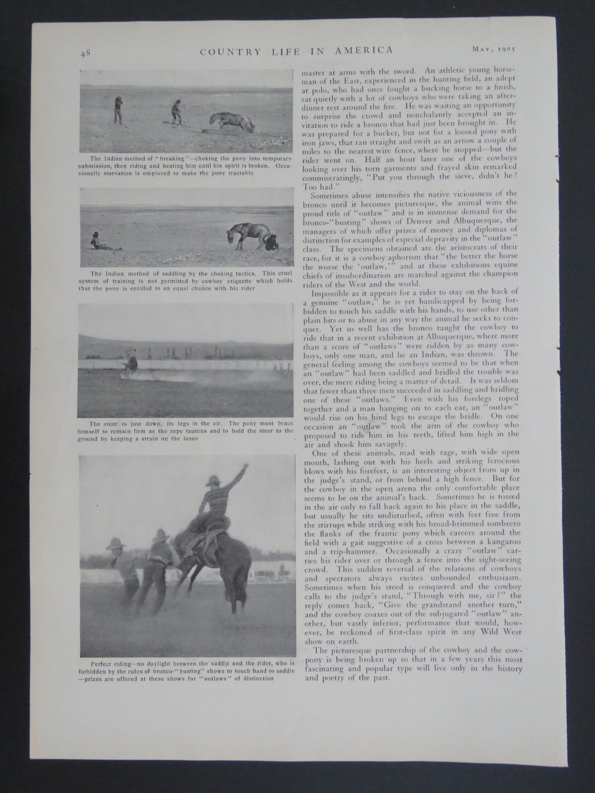 1905 B&W 9×13 Lithograph Cowboys Bronco Busting Outlaw Horses Article 2-sided