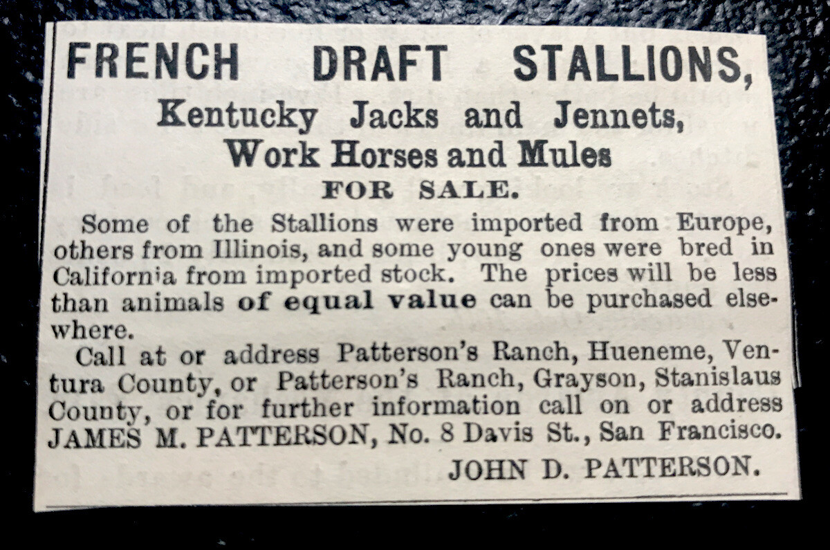 1886 Kentucky Jacks & Horse Farm Advertising – San Francisco – California