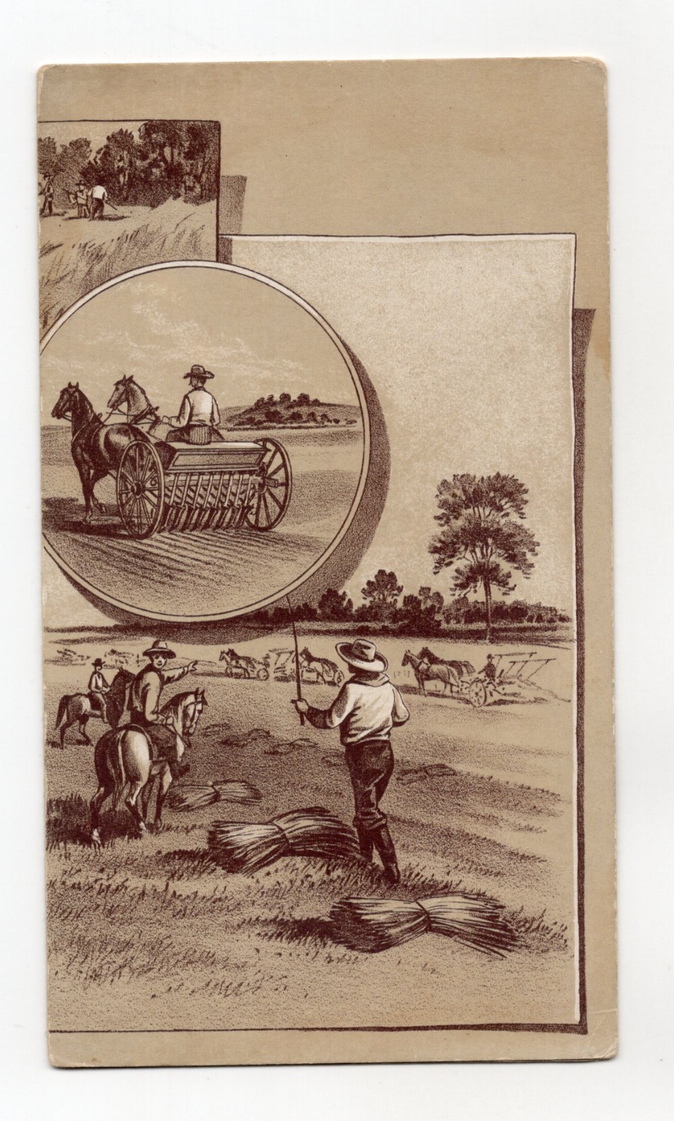 c1900s – Pacific Guano Co Glidden & Curtis Boston Massachusetts Pamphlet – XL4E