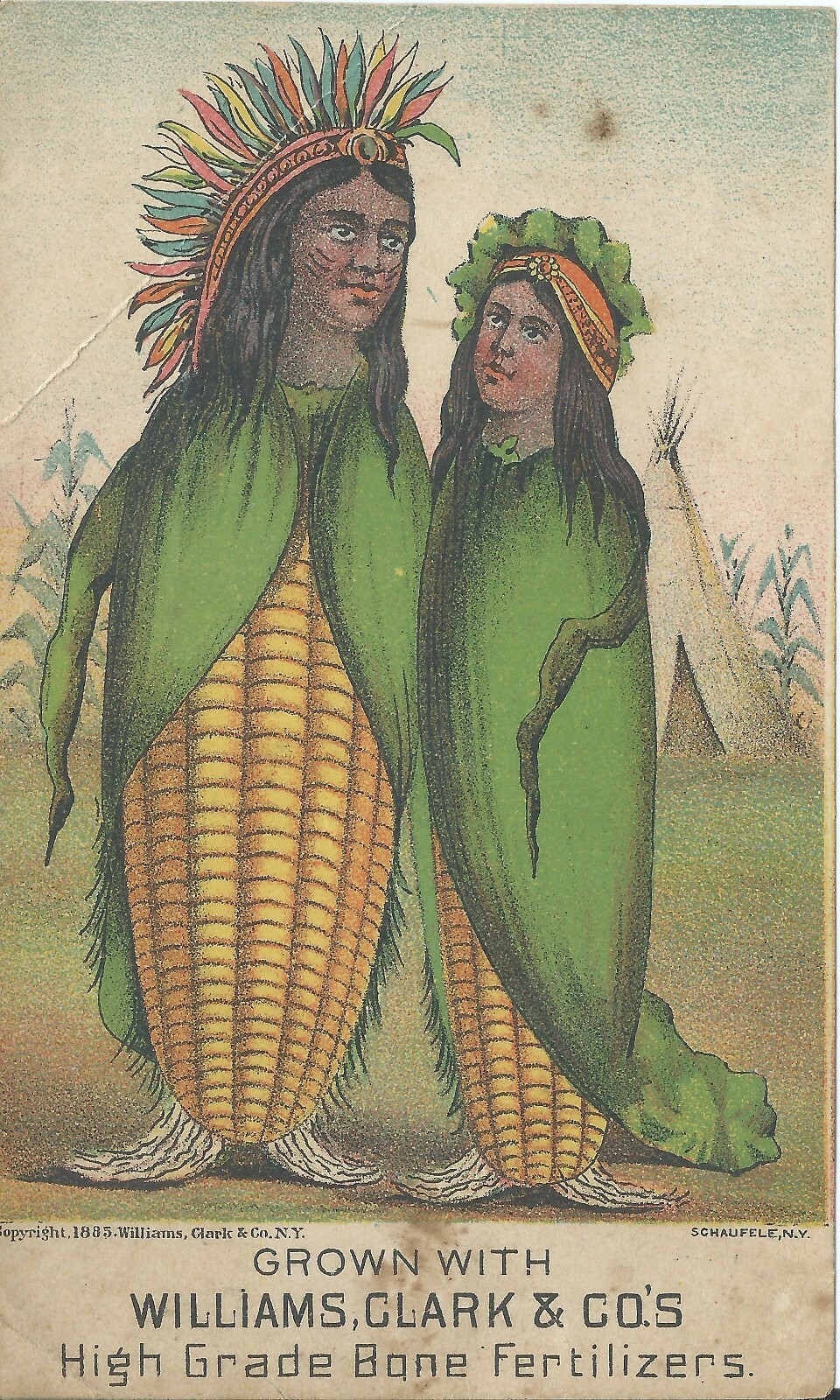 Williams Clark Schaufele NY Bone Fertilizer Victorian Trade Card Ad 1880s Indian