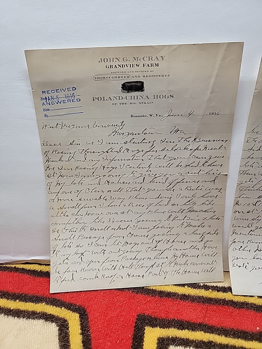 1916 JOHN McCRAY GRANDVIEW FARM POLAND-CHINA HOGS Letterhead / 1123-tf2