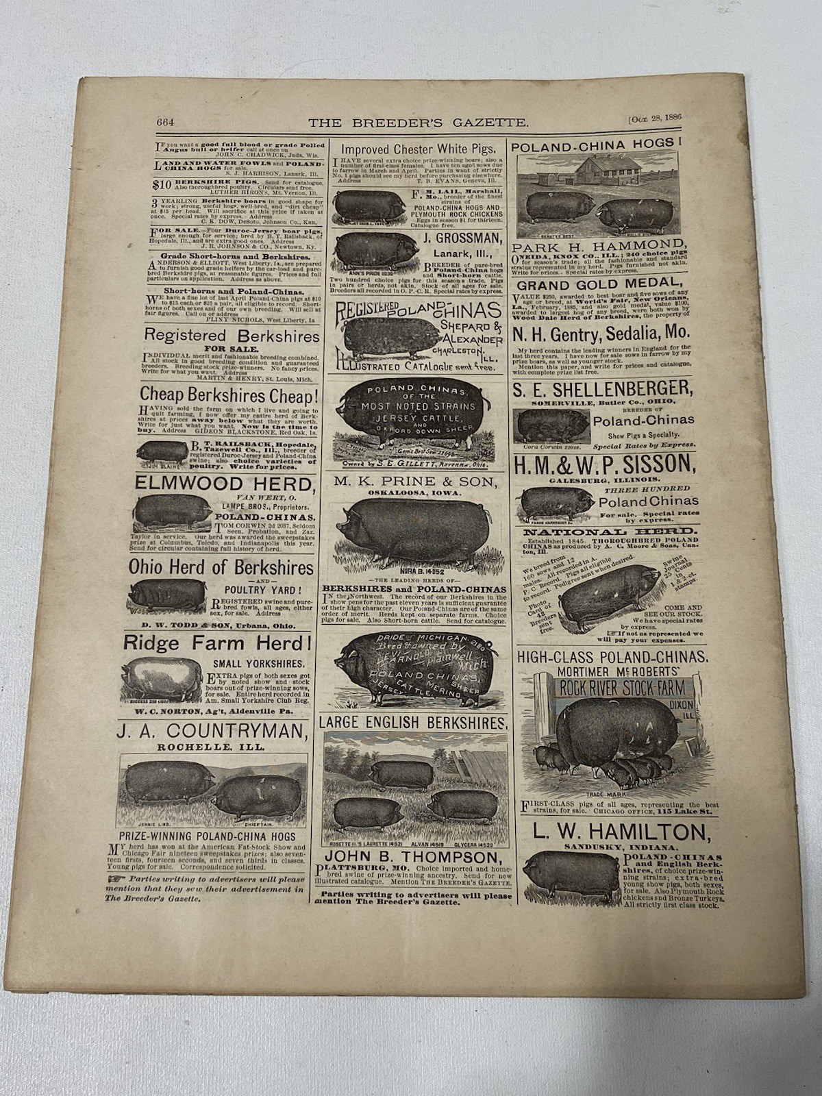Vtg 1886 October Breeders Gazette Shire Horse Steer Pigs Cow Bull Advertisements